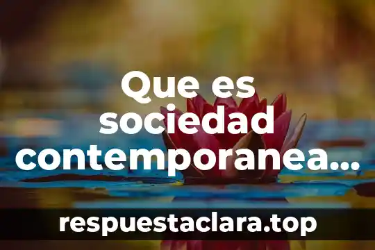 Que es sociedad contemporanea definicion