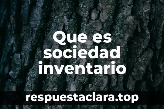 Que es sociedad inventario