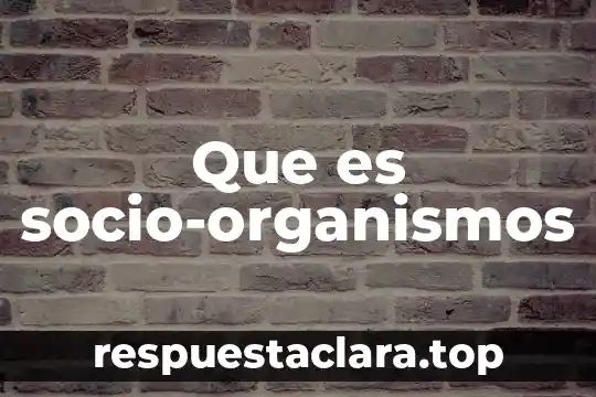 Que es una idea principal y cómo se identifica 7 Que es socio-organismos