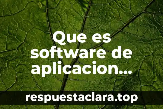 Que es software de aplicacion veleneo