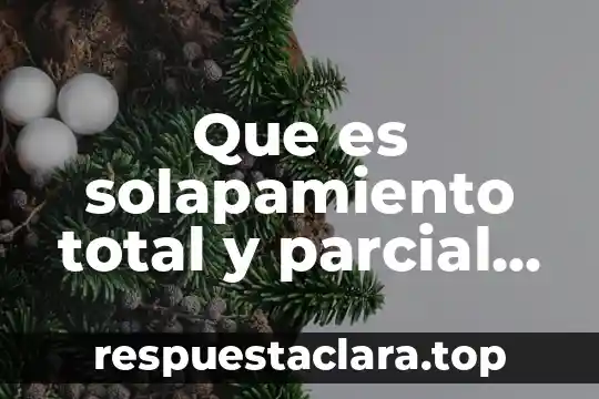 Que es solapamiento total y parcial en base de datos