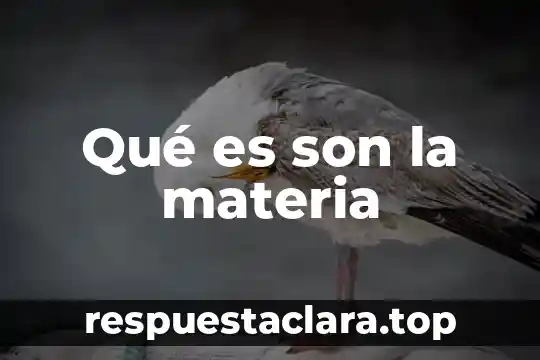 Que significa y que es la materia 7 Qué es son la materia