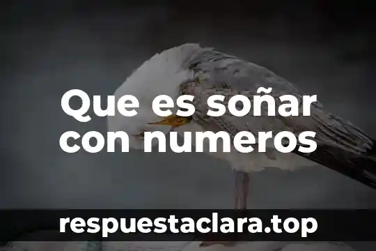 Que es soñar con numeros