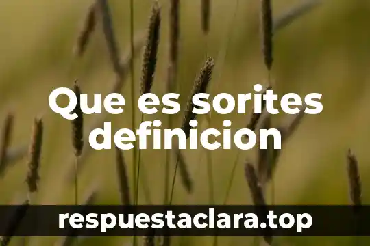 Que es sorites definicion