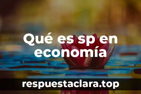 Qué es sp en economía