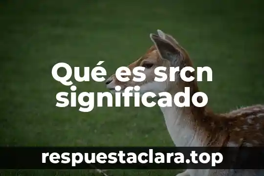 Que es el sistema autonomo nervioso 6 Qué es srcn significado