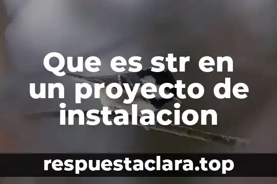 Que es str en un proyecto de instalacion