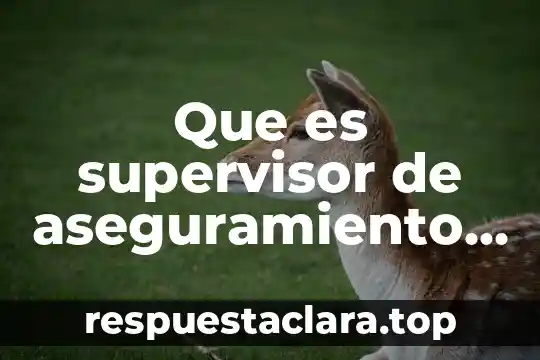 Que es supervisor de aseguramiento de la calidad en preparatoria