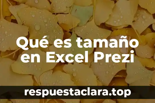 Qué es tamaño en Excel Prezi