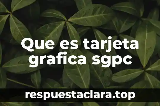 Que es tarjeta grafica sgpc