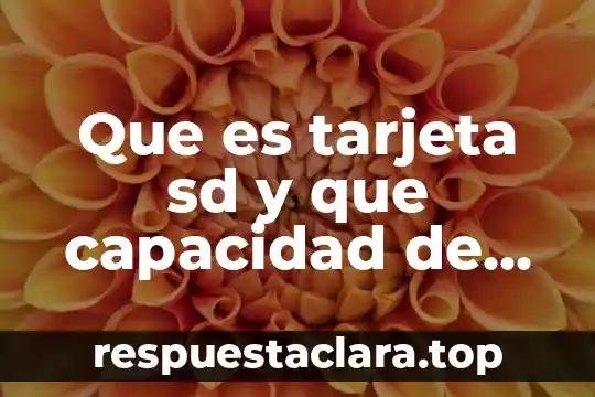 Que es el dolor de panza segun las creencias populares 4 Que es tarjeta sd y que capacidad de almacenamiento