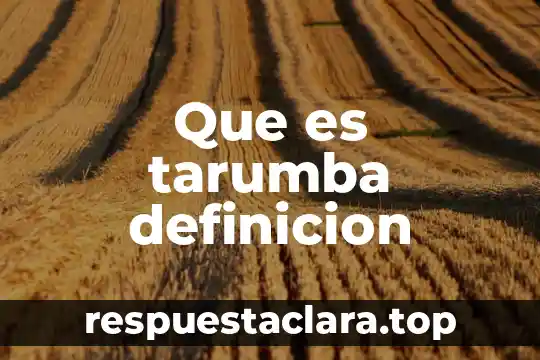 Que es tarumba definicion