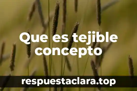 Que es tejible concepto