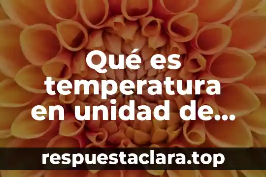Qué es temperatura en unidad de medida