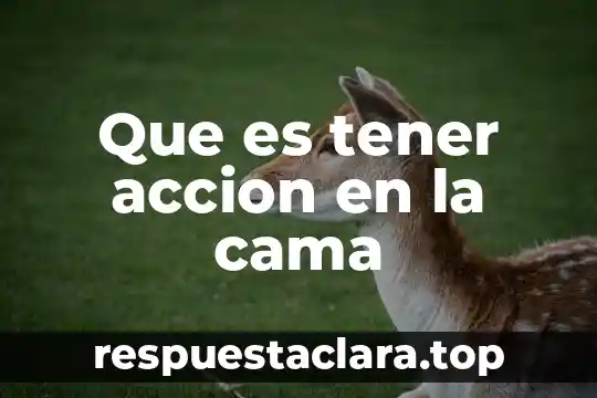 Que es tener accion en la cama