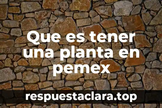 Que es una planta movil 6 Que es tener una planta en pemex