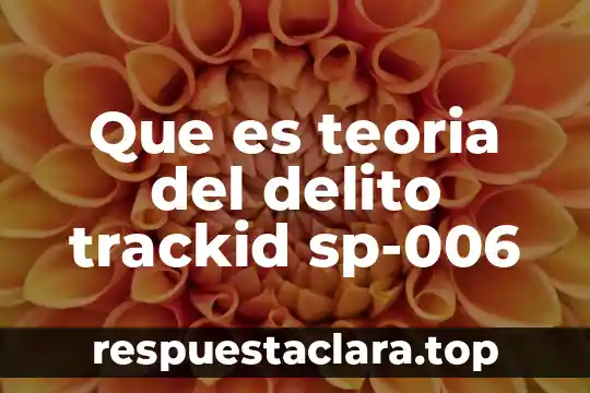 Que es teoria del delito trackid sp-006