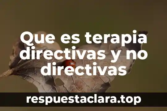 Que es terapia directivas y no directivas