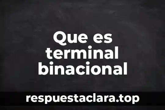 Que es terminal binacional