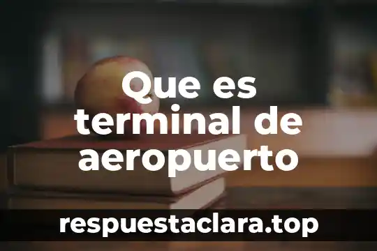 Que es terminal de aeropuerto