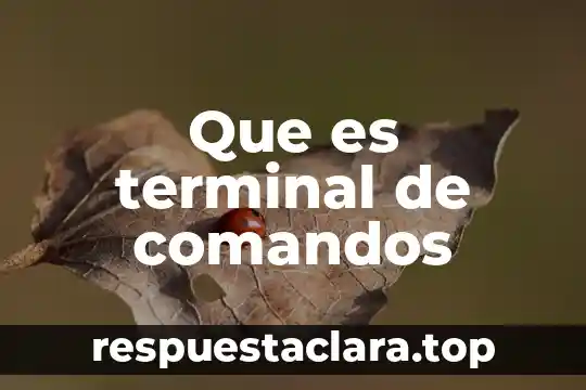 Que es terminal de comandos
