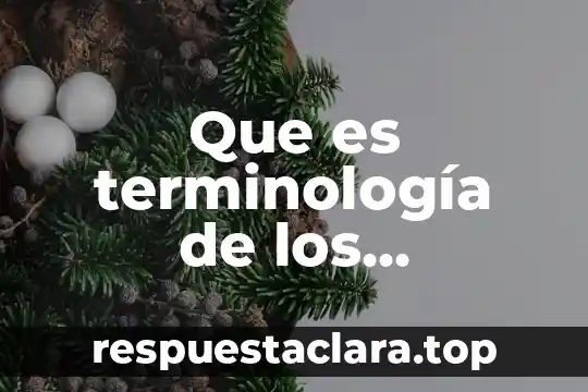 Que es terminología de los movimientos