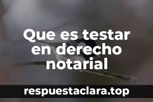 Que es testar en derecho notarial