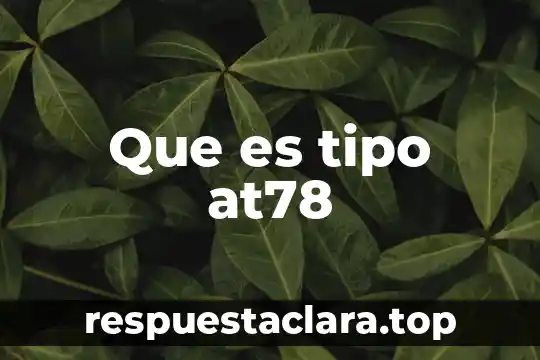 Que es tipo at78