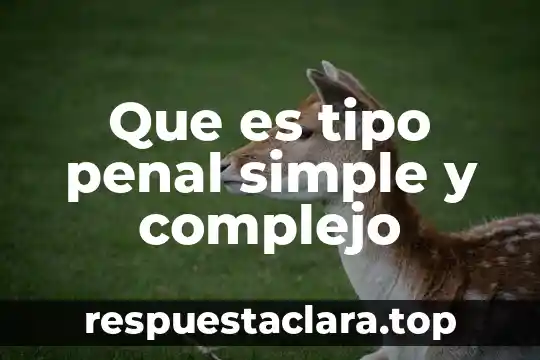 Que es la calidad personal en derecho penal 8 Que es tipo penal simple y complejo