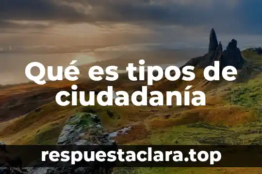 Qué es acidez de un compuesto orgánico 7 Qué es tipos de ciudadanía
