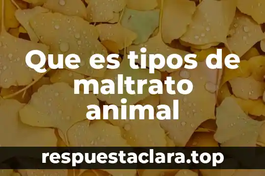 Que es tipos de maltrato animal