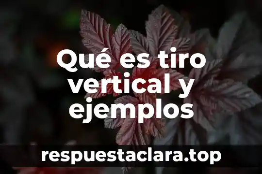 Qué es tiro vertical y ejemplos