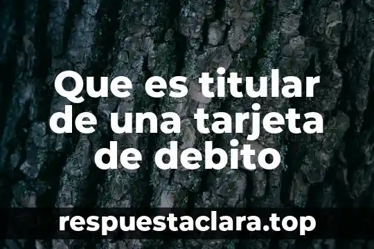Que es tarjeta debito significado 6 Que es titular de una tarjeta de debito