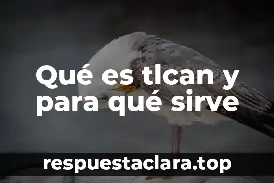 Qué es tlcan y para qué sirve