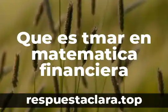 Que es tmar en matematica financiera
