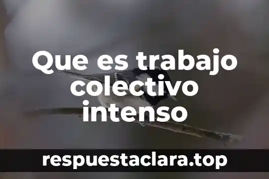 Que es trabajo colectivo intenso