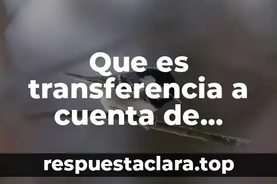 Que es la cuenta de compra 3 Que es transferencia a cuenta de cheques