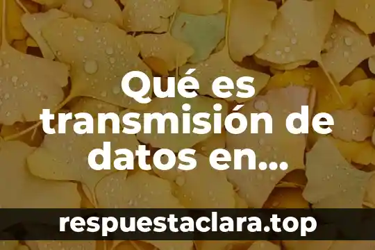 Qué es transmisión de datos en informática