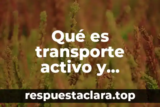 Significado bien definido de que es desigualdad 8 Qué es transporte activo y ejemplo