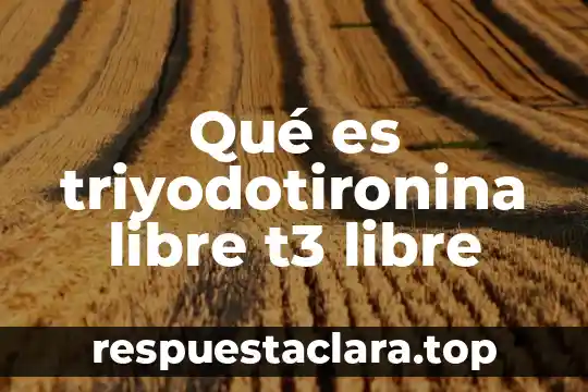 Que es la libre competencia indecopi 6 Qué es triyodotironina libre t3 libre