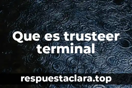 Que es trusteer terminal