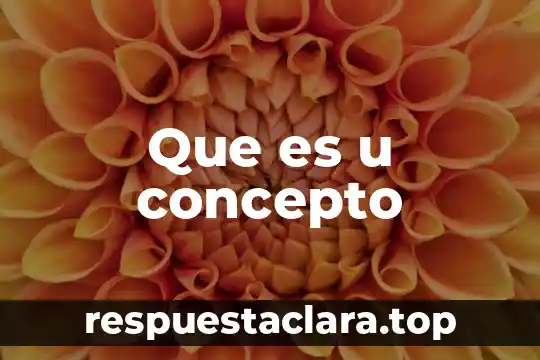 Que es u concepto