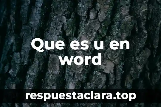 Que es helvetica en word 5 Que es u en word