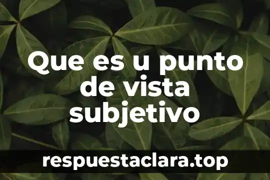 Que es u punto de vista subjetivo