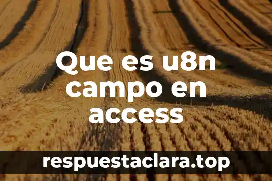 Que es u8n campo en access