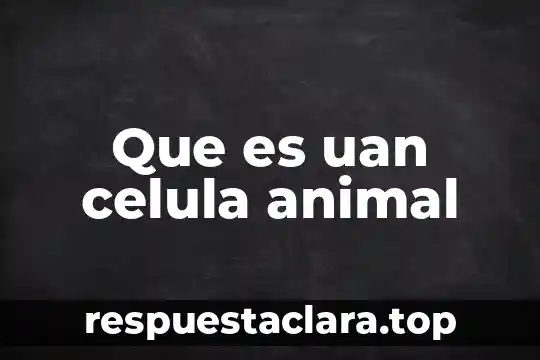 Qué es el formato de r1 chps 8 Que es uan celula animal