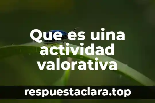 Que es uina actividad valorativa