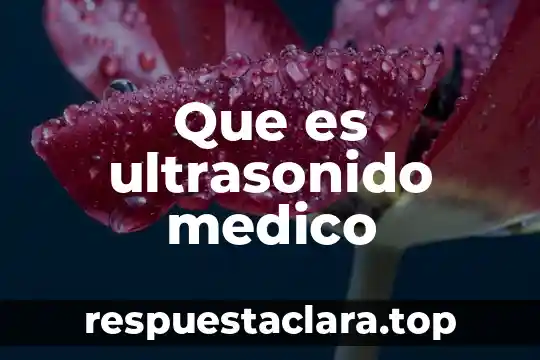 Que es un consorcio medico 3 Que es ultrasonido medico