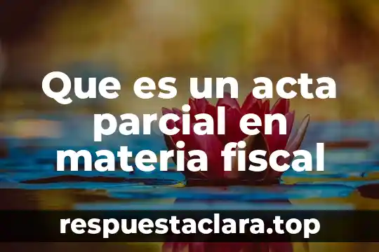 Que es la relacion parcial de inventarios etiquetas de inventarios 6 Que es un acta parcial en materia fiscal