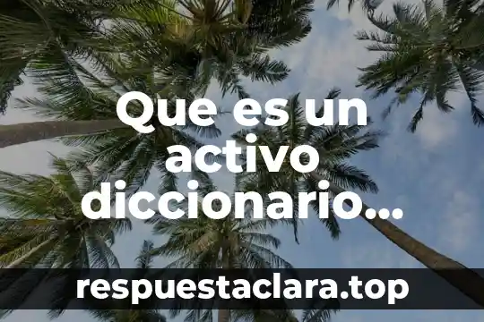 Que es un activo diccionario contable